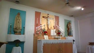 Rosary; Benediction; Holy Mass