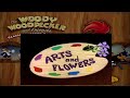 The Woody Woodpecker Best of 1950's Compilation 17 Episodes Nonstop New