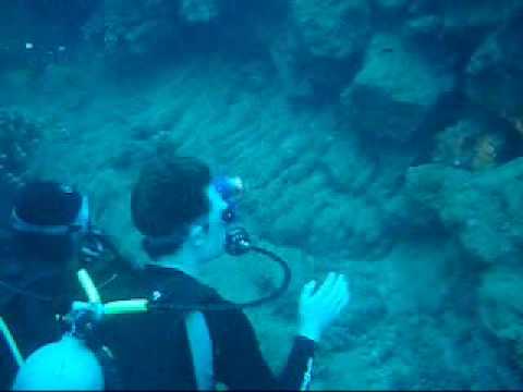 0 SCUBA Diving Hawaii