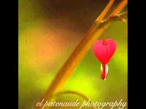 Tu Mujhe Soch Kabhi Yahi Chahat Hai Meri Karan Bollywood Romantic...