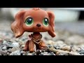 LPS MV: See You Again (20,000+ Subscribers Special)