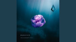 Fighting For Something Extended Mix