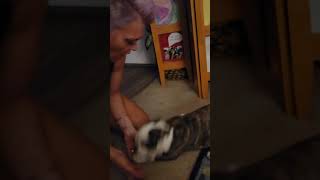 Mickey And Nina 7 29 21