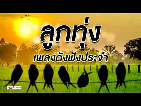 เพลงลูกทุ่ง ฟังประจำ - รวมฮิตเพลงเพราะๆ #คุณภาพเสียงเยี่ยม HD