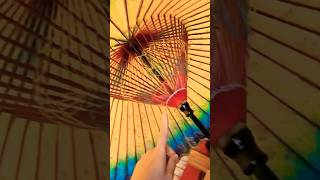 The Most Expensive Japanese Umbrella Ive Ever Seen