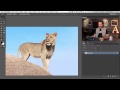 How to Use the Refine Edge Tool in Photoshop