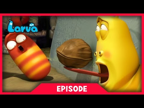 LARVA - WALNUT | 2017 Cartoon Movie | Cartoons For Children | 라바 | LARVA Official