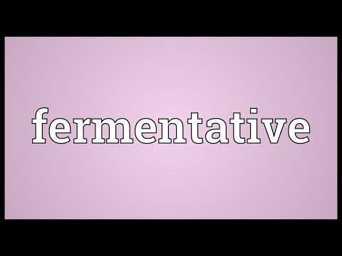 Header of fermentative