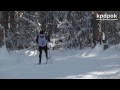 лыжные гонки
