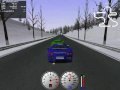 Simulated Racing