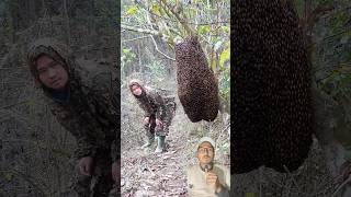Jungali Mauri Ko Katro Chhattar - Forest Honey