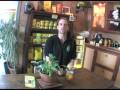 Video Guayaki Yerba Mate Tea Sebastopol, California