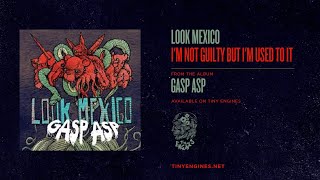 Watch Look Mexico Im Not Guilty But Im Used To It video
