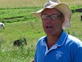 Joel Salatin of Polyface Farms discusses grass-fed cattle