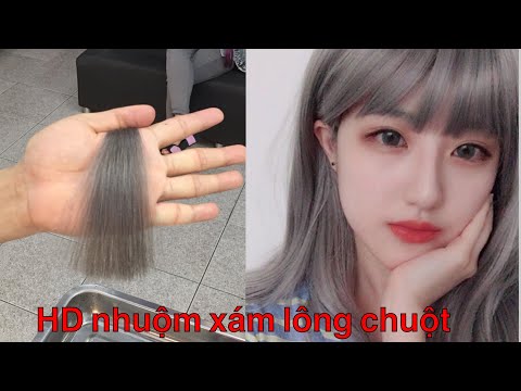 Hướng dẫn nhuộm xám lông chuột thận đơn giản