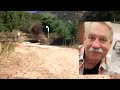 The Enchanted Forest - Trail to the Mansion and Tunnel [HD quality]