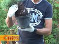 Ландшафтный дизайн виталий декабрев Ландшафтный дизайн виталий декабрев