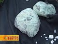 Ландшафтный дизайн Виталий Декабрев Марина Рыкалина