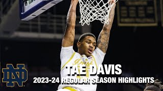 Tae Davis 2023-24 Regular Season Highlights | Notre Dame Forward