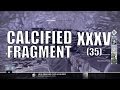 Destiny - Calcified Fragment: XXXV (35) - Taken Consumption Debuff Chest