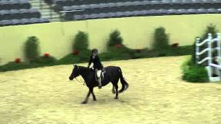 Video Of Jack Sullivan Ridden By Eysville From Shownet