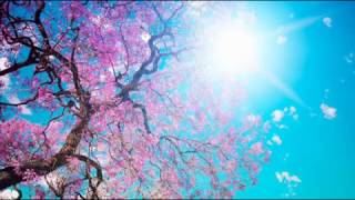 Watch Peter Hammill Sunshine video