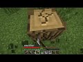 Minecraft Andy's World | Bercea pe fundal | Sez #2 Ep #8