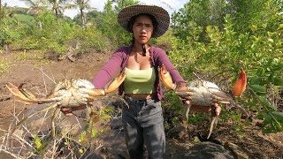 Low Tide Adventure Catching Giant Mud Crabs In The Swamp By Hand
