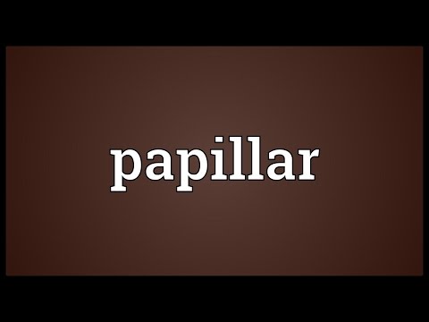 Header of papillar
