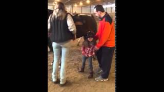Bella And Alivia Horse Riding Lessons 1-23-16 X