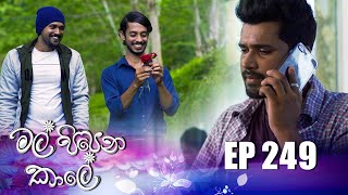 Mal Pipena Kale | Episode 249