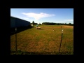 John and Rusty 2nd time on sheep