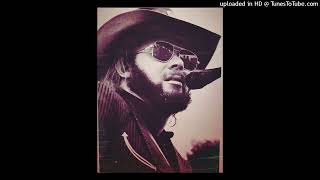 Watch Hank Williams Jr Come And Go Blues video