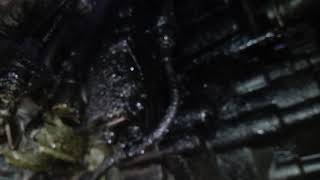 Vw transporter t5 oil leak suspect tandem vacuum pump