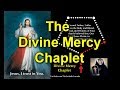 Divine Mercy Chaplet (spoken) (virtual)