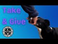 Training 'Take' and 'Give' Objects for a Formal Service Dog Retrieve