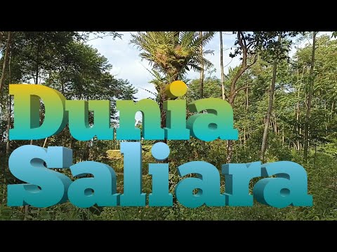bunga saliara#Lantana