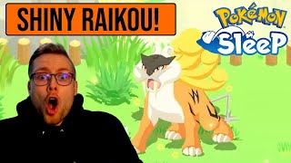 I Found A SHINY RAIKOU in Pokémon Sleep!