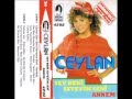Ceylan Ey Yabancı ( Kısa ) - Film Yorum