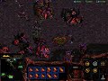 Starcraft walkthrough zerg [M7-P4] "Bugs against more bugs"