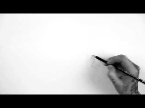 Internal Shell Video
