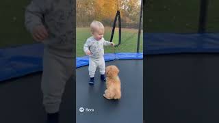 Baby And Puppy Jumping Together