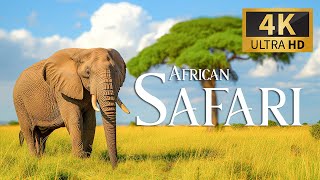 Safari Diaries: An Epic Adventure Through Africa's Majestic Animal Realms