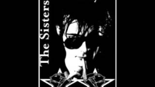 Watch Sisters Of Mercy Sister Ray video