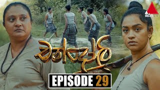 Chandoli | Episode 29 | 05th January 2023 