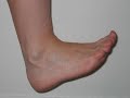 Bitis Ni Padi images Bitis Ni Padi