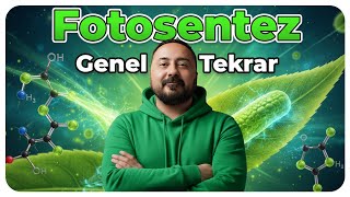 10.Sınıf Maarif Model Ücretsiz Canlı Ders-5