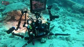 UNDERWATER VIDEO SETUP