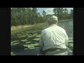 Big Bass Smashes FROG Lure