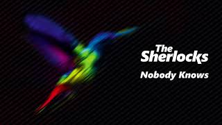 The Sherlocks - Nobody Knows (Official Audio)